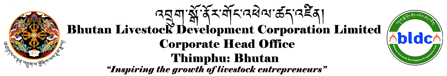 ho letter head (1)